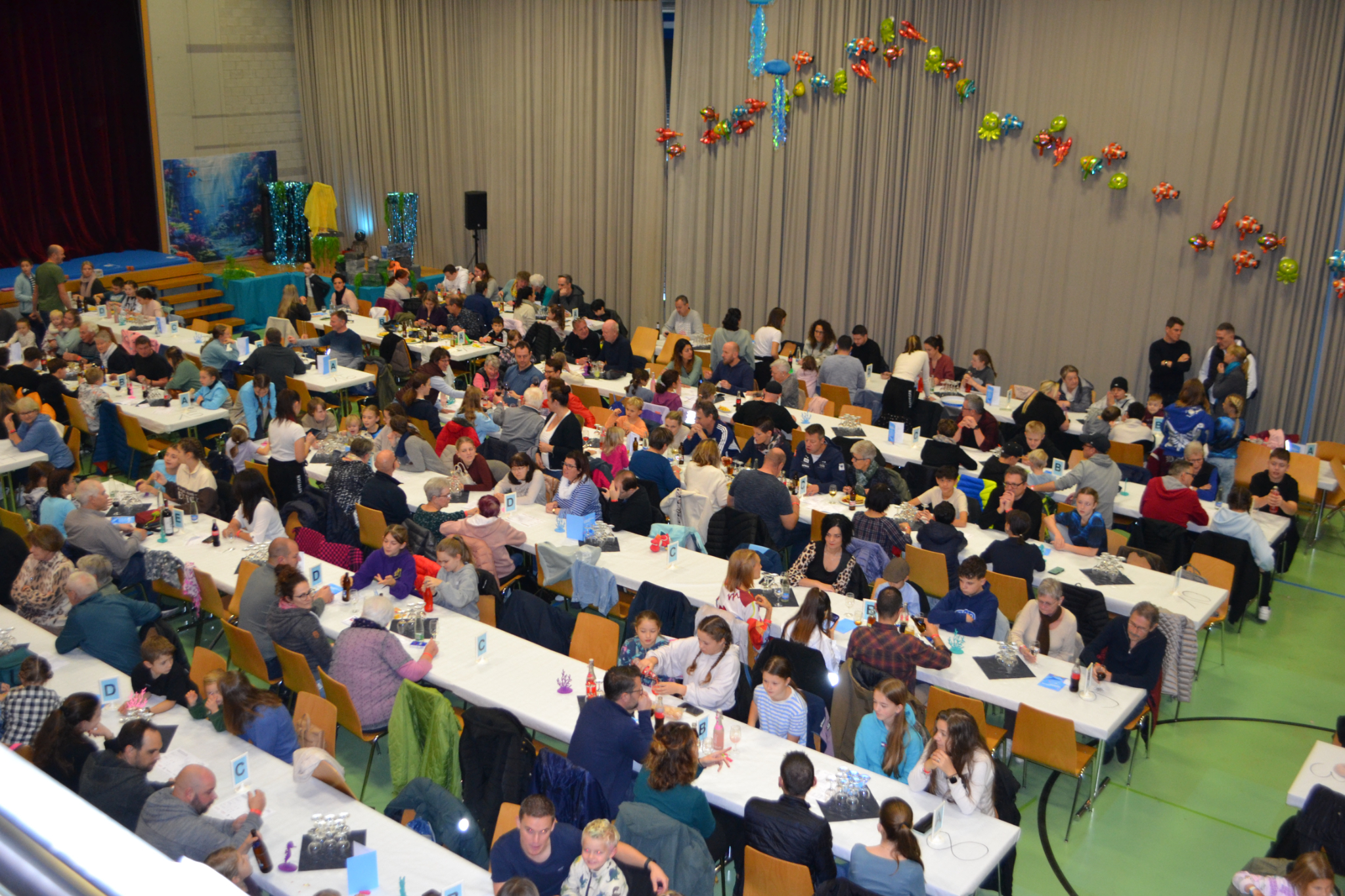 Bild4 (124)